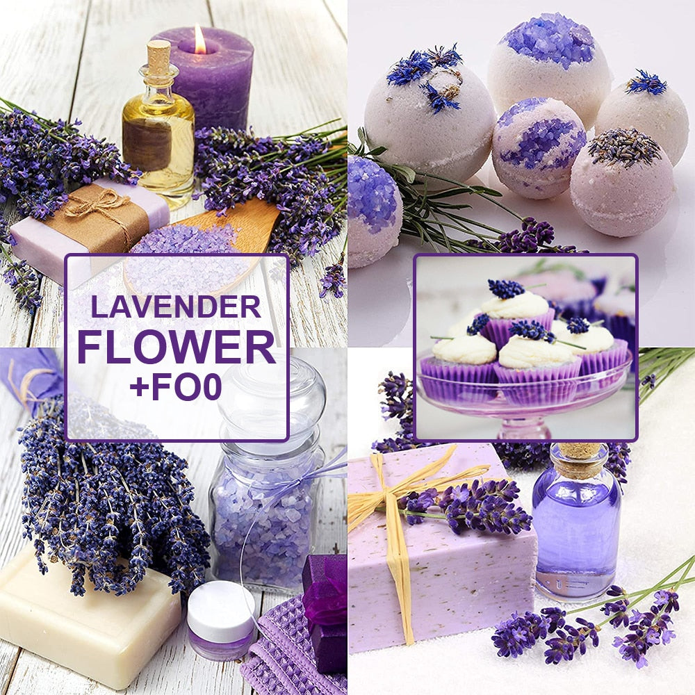 Lavender Flower Buds